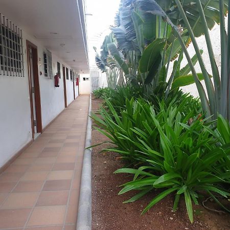 El Apartamento De Concha San Agustín Eksteriør bilde